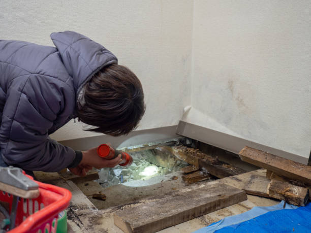 Best HVAC Mold Inspection and Cleaning  in Evansville, IN