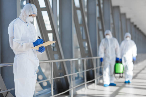 Mold Documentation for Insurance Claims in Evansville, IN
