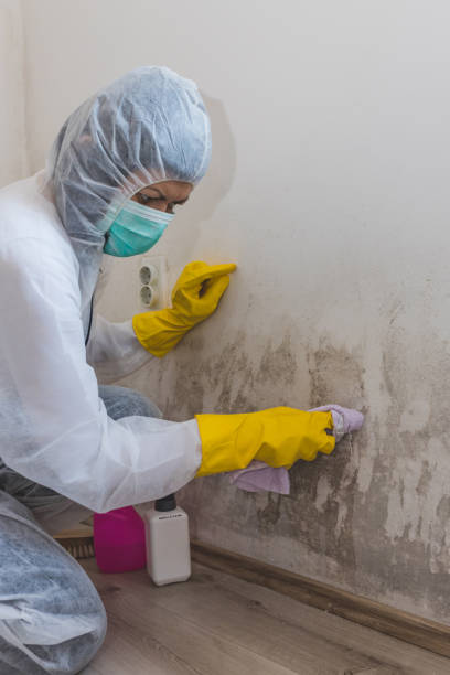 Best Indoor Air Quality Assessment  in Evansville, IN