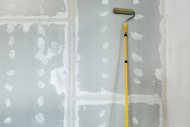 Best Flood Damage  in Evansville, IN