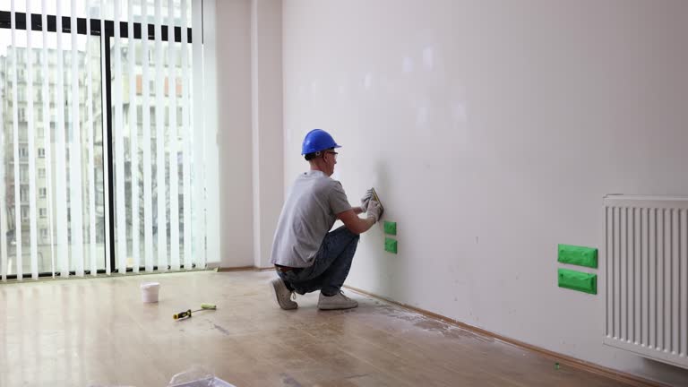 Best Mold Damage Restoration  in Evansville, IN