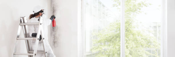 Evansville, IN Mold Removal Company