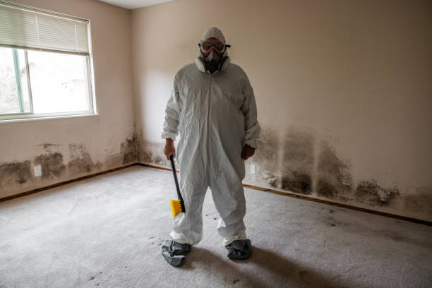 Best Airborne Mold Testing  in Evansville, IN
