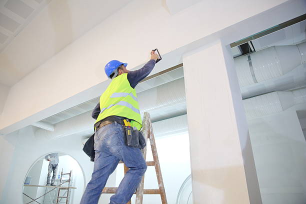  Evansville, IN Mold Removal Pros